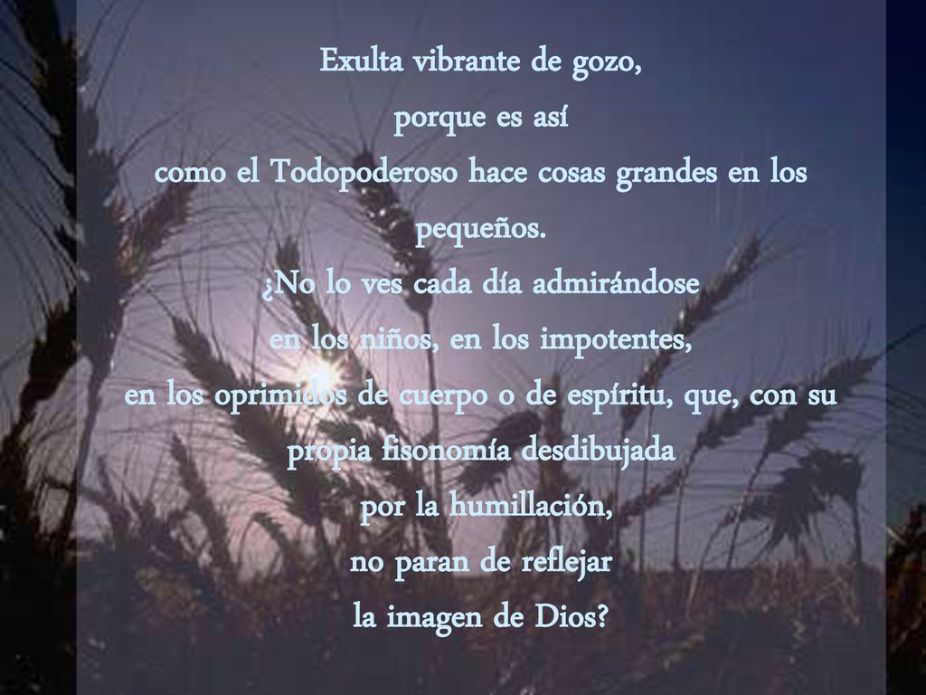 Exulta vibrante de gozo, porque es así como el Todopoderoso hace cosas grandes en los pequeños.
