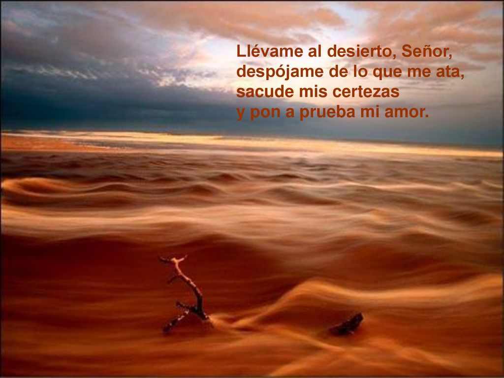 Llévame al desierto, Señor, despójame de lo que me ata, sacude mis certezas y pon a prueba mi amor.