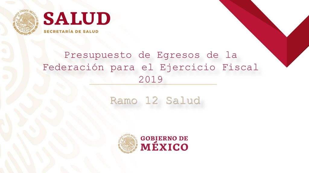 Presupuesto de Egresos de la Federación para el Ejercicio Fiscal 2019