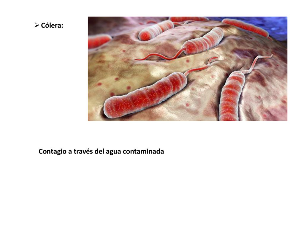 Contagio a través del agua contaminada