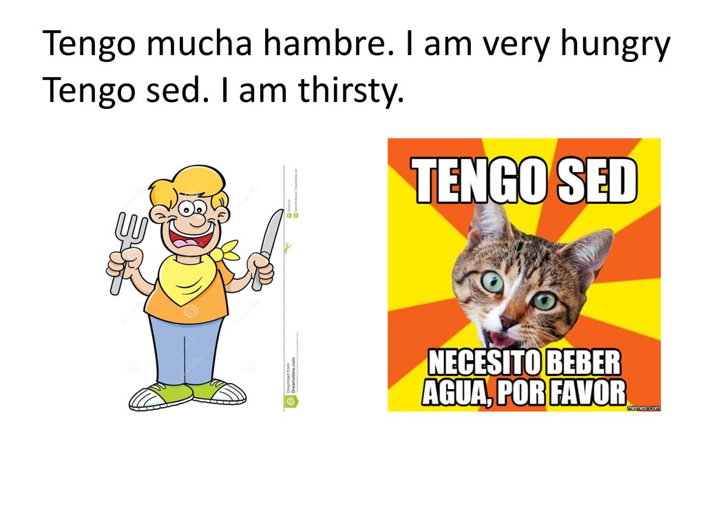 Tengo mucha hambre. I am very hungry Tengo sed. I am thirsty.
