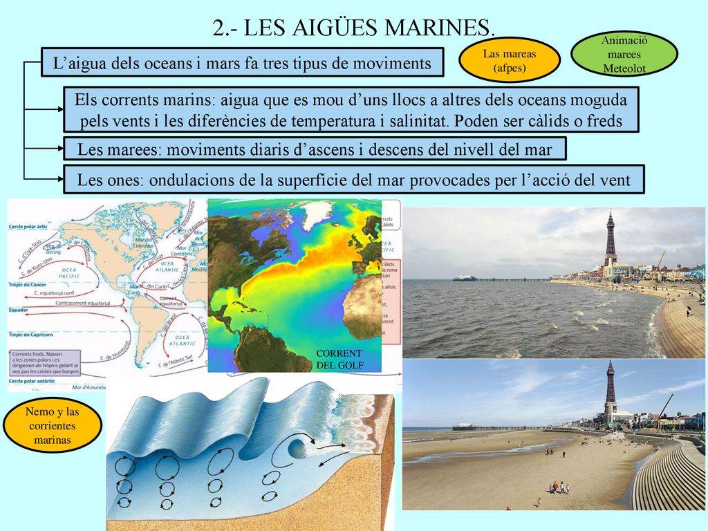 2.- LES AIGÜES MARINES. Animació marees Meteolot. Las mareas (afpes) L’aigua dels oceans i mars fa tres tipus de moviments.