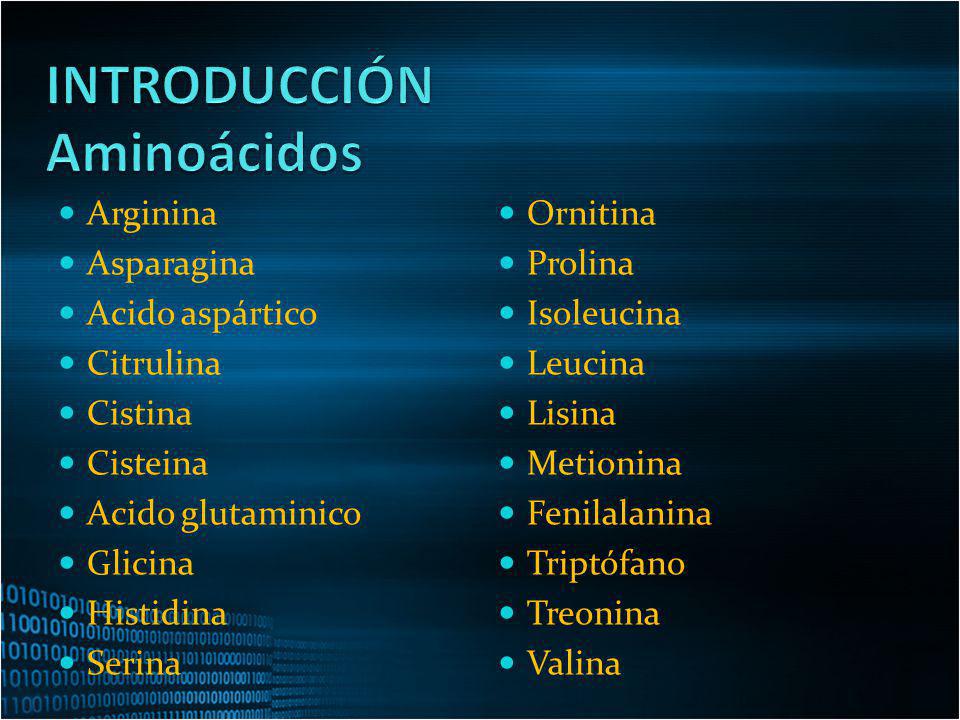 INTRODUCCIÓN Aminoácidos Arginina Asparagina Acido aspártico Citrulina