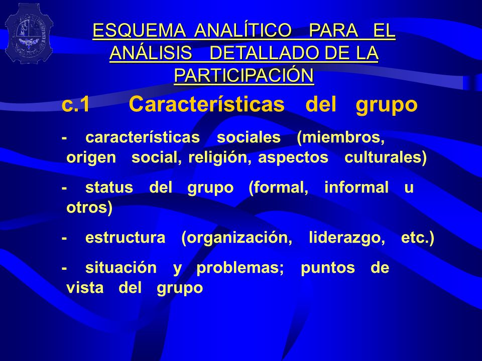 ESQUEMA ANALÍTICO PARA EL ANÁLISIS DETALLADO DE LA PARTICIPACIÓN