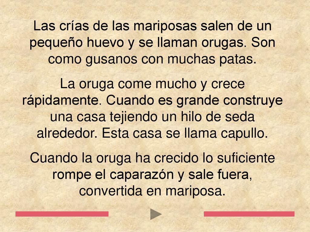 Las crías de las mariposas salen de un pequeño huevo y se llaman orugas. Son como gusanos con muchas patas.