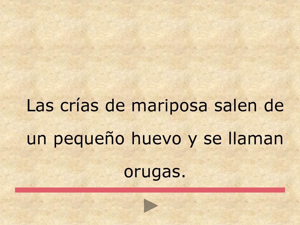 Las crías de mariposa salen de un pequeño huevo y se llaman orugas.