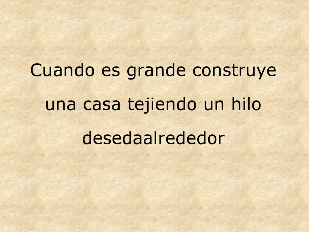 Cuando es grande construye una casa tejiendo un hilo desedaalrededor