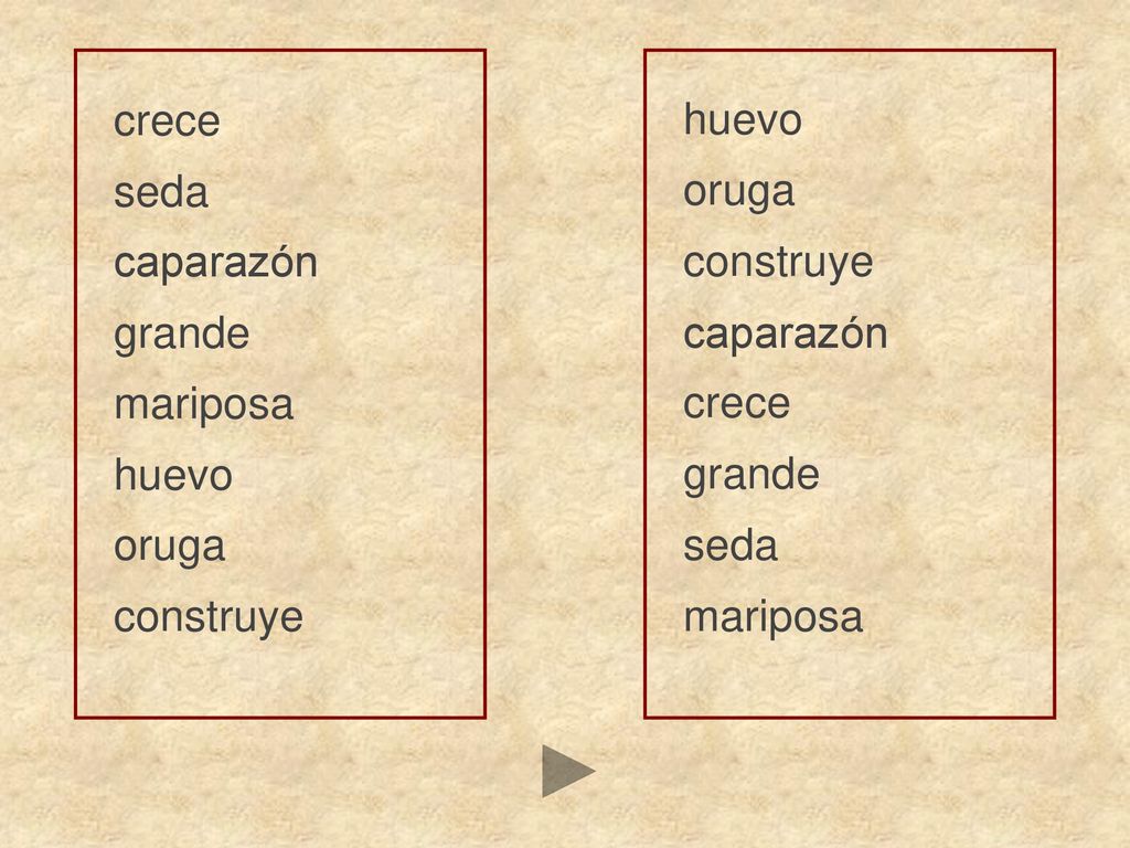 crece huevo. seda. oruga. caparazón. construye. grande. caparazón. mariposa. crece. huevo.