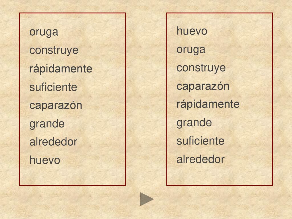 oruga huevo. construye. oruga. rápidamente. construye. suficiente. caparazón. caparazón. rápidamente.