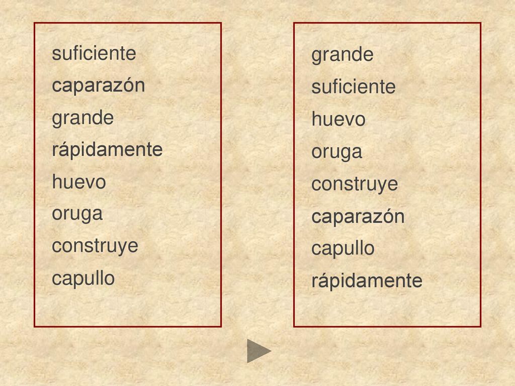 suficiente grande. caparazón. suficiente. grande. huevo. rápidamente. oruga. huevo. construye.
