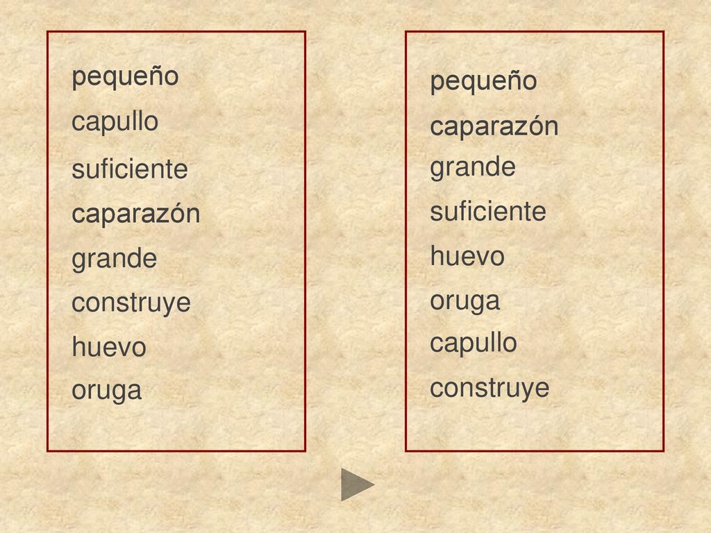 pequeño pequeño. capullo. caparazón. suficiente. grande. caparazón. suficiente. grande. huevo.