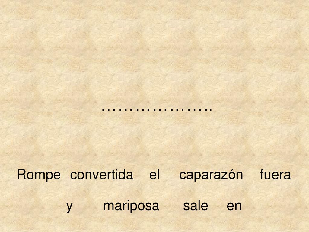 ……………….. Rompe convertida el caparazón fuera y mariposa sale en