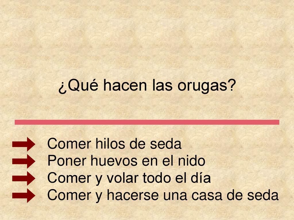 ¿Qué hacen las orugas Comer hilos de seda Poner huevos en el nido