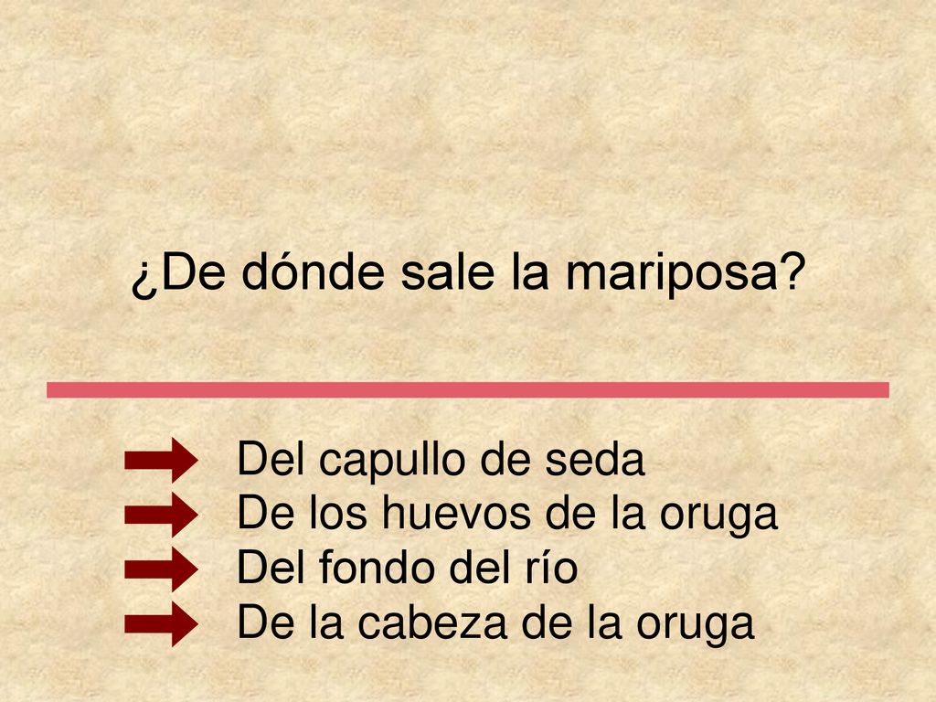 ¿De dónde sale la mariposa