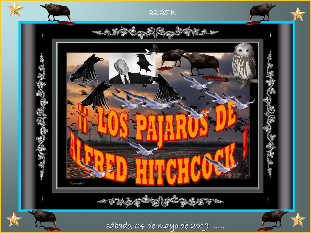 ¡¡ LOS PAJAROS DE ALFRED HITCHCOCK !! sábado, 04 de mayo de 2019 ……