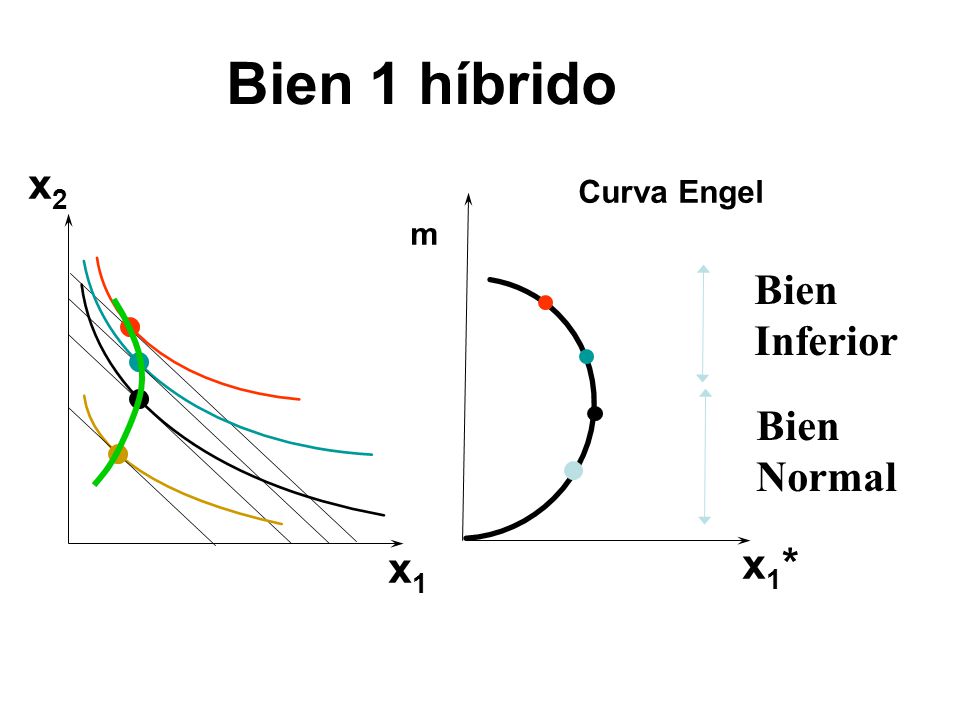 Bien 1 híbrido x2 Curva Engel m Bien Inferior Bien Normal x1 x1*