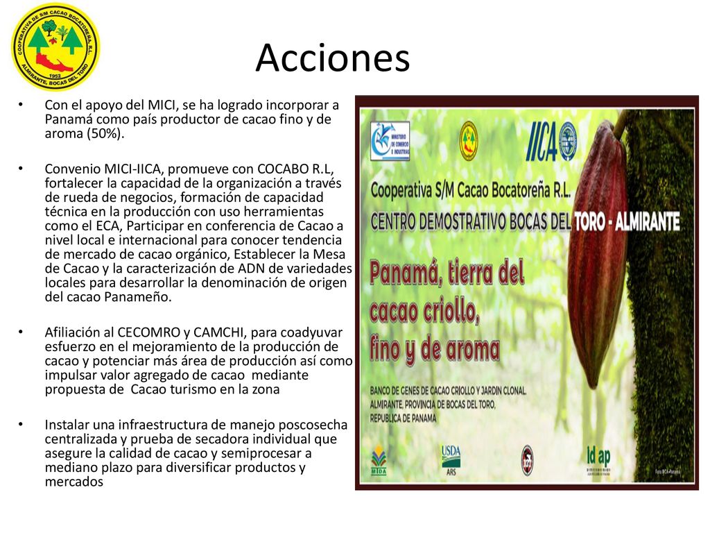 Acciones Con el apoyo del MICI, se ha logrado incorporar a Panamá como país productor de cacao fino y de aroma (50%).