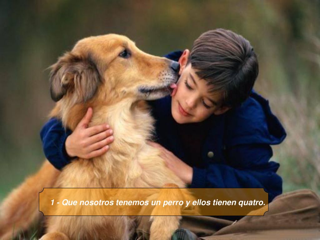 1 - Que nosotros tenemos un perro y ellos tienen quatro.