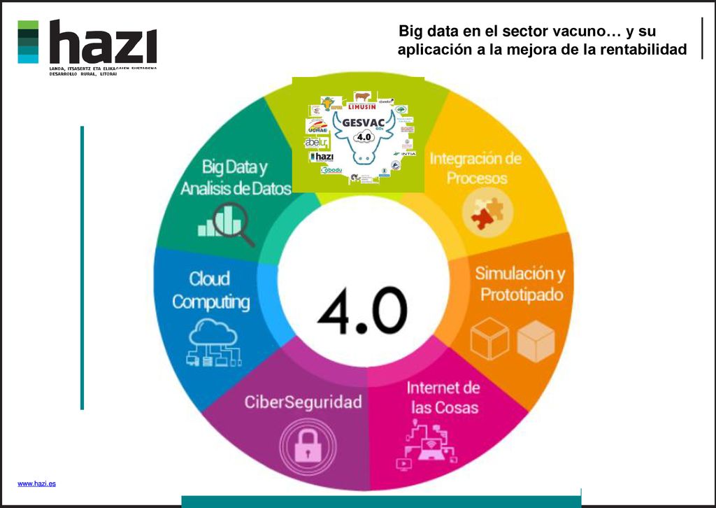 Big data en el sector vacuno… y su aplicación a la mejora de la rentabilidad