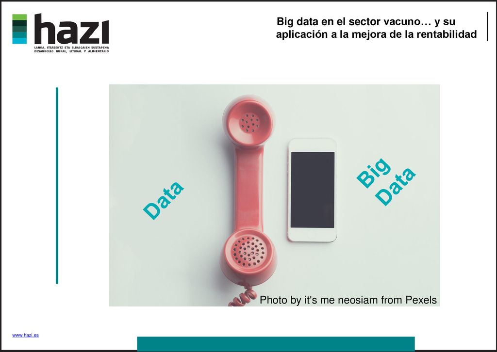 Big data en el sector vacuno… y su aplicación a la mejora de la rentabilidad