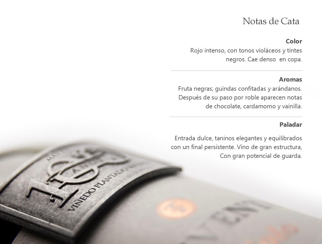 Notas de Cata Color Aromas Paladar