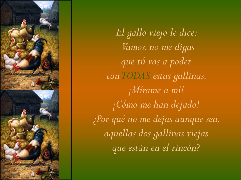 con TODAS estas gallinas. ¡Mírame a mí! ¡Cómo me han dejado!