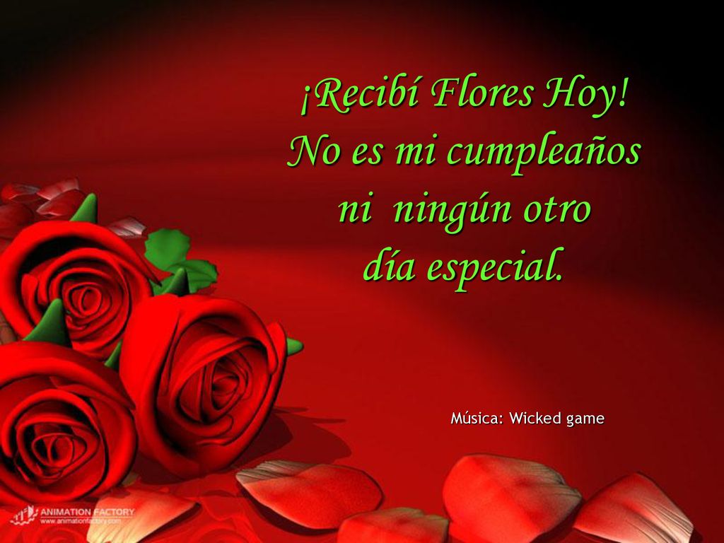 ¡Recibí Flores Hoy! No es mi cumpleaños ni ningún otro día especial.