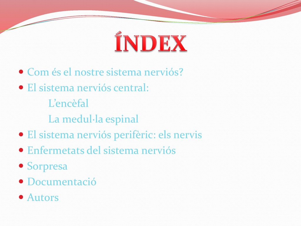 ÍNDEX Com és el nostre sistema nerviós El sistema nerviós central: