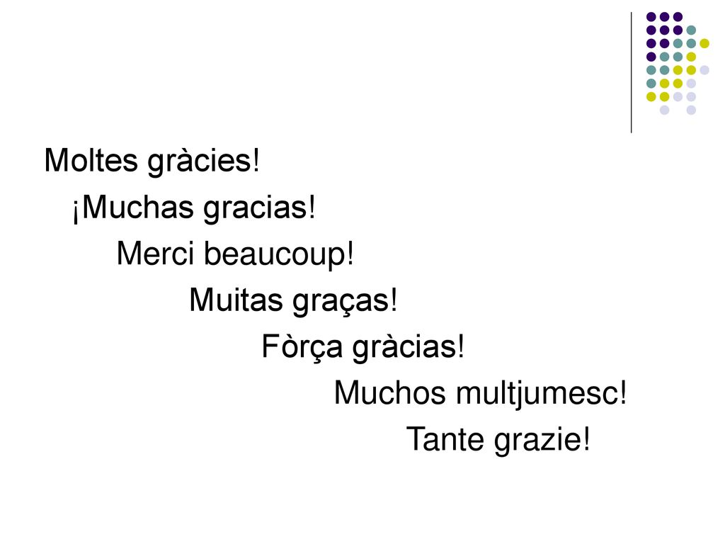 Moltes gràcies! ¡Muchas gracias! Merci beaucoup! Muitas graças! Fòrça gràcias! Muchos multjumesc!