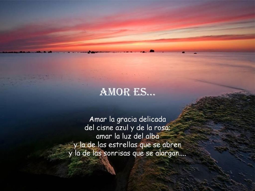 Amor es... Amar la gracia delicada del cisne azul y de la rosa;