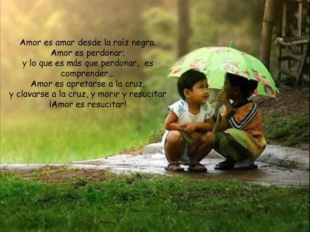 Amor es amar desde la raíz negra. Amor es perdonar;