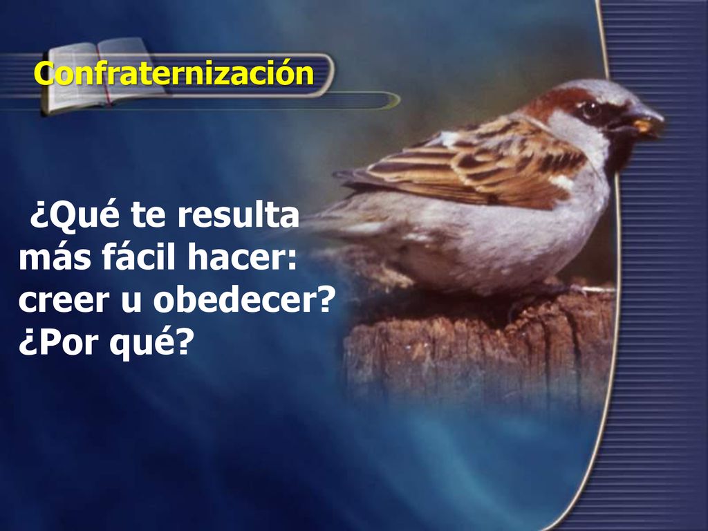 ¿Qué te resulta más fácil hacer: creer u obedecer ¿Por qué
