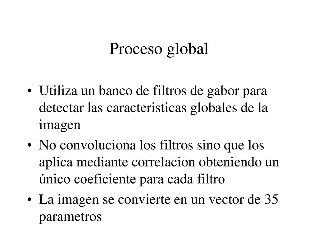 Proceso global Utiliza un banco de filtros de gabor para detectar las caracteristicas globales de la imagen.