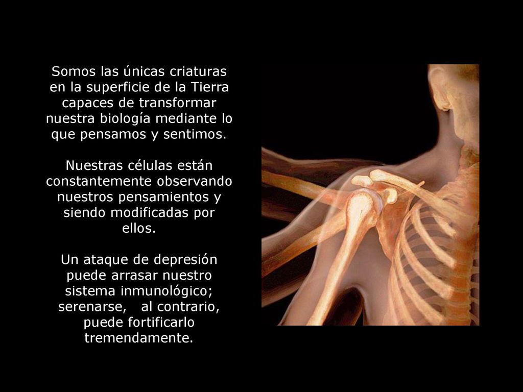 Somos las únicas criaturas en la superficie de la Tierra capaces de transformar nuestra biología mediante lo que pensamos y sentimos.