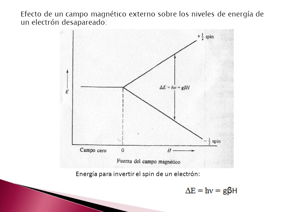 Efecto de un campo magnético externo sobre los niveles de energía de un electrón desapareado: