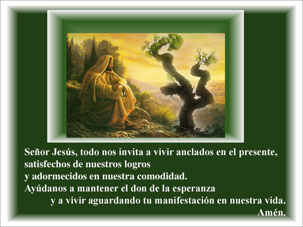 Señor Jesús, todo nos invita a vivir anclados en el presente, satisfechos de nuestros logros