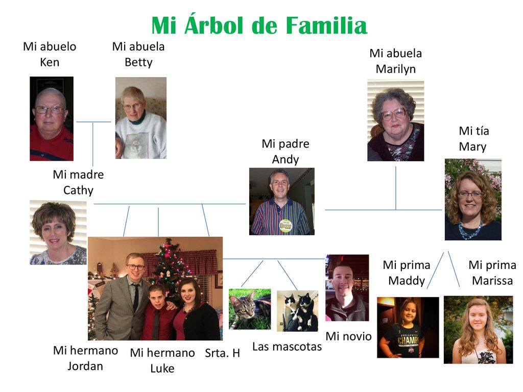 Mi Árbol de Familia Mi abuelo Ken Mi abuela Betty Mi abuela Marilyn