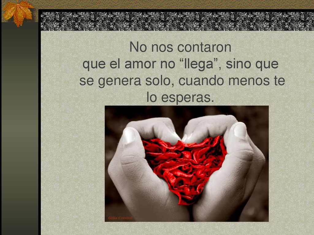 No nos contaron que el amor no llega , sino que