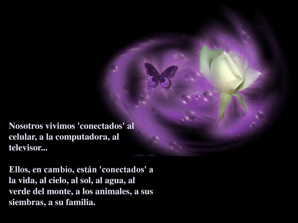 Nosotros vivimos conectados al celular, a la computadora, al televisor...
