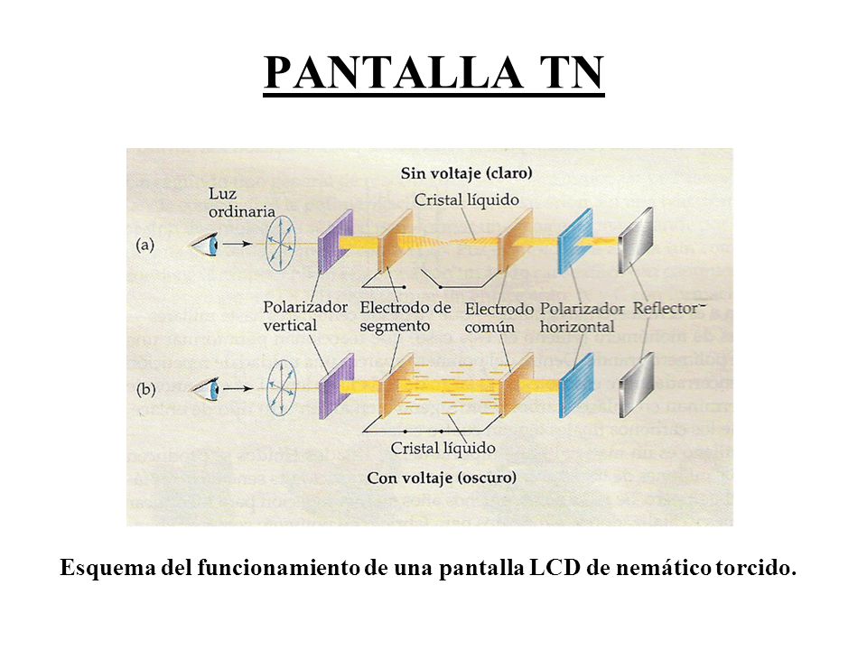 PANTALLA TN Esquema del funcionamiento de una pantalla LCD de nemático torcido.