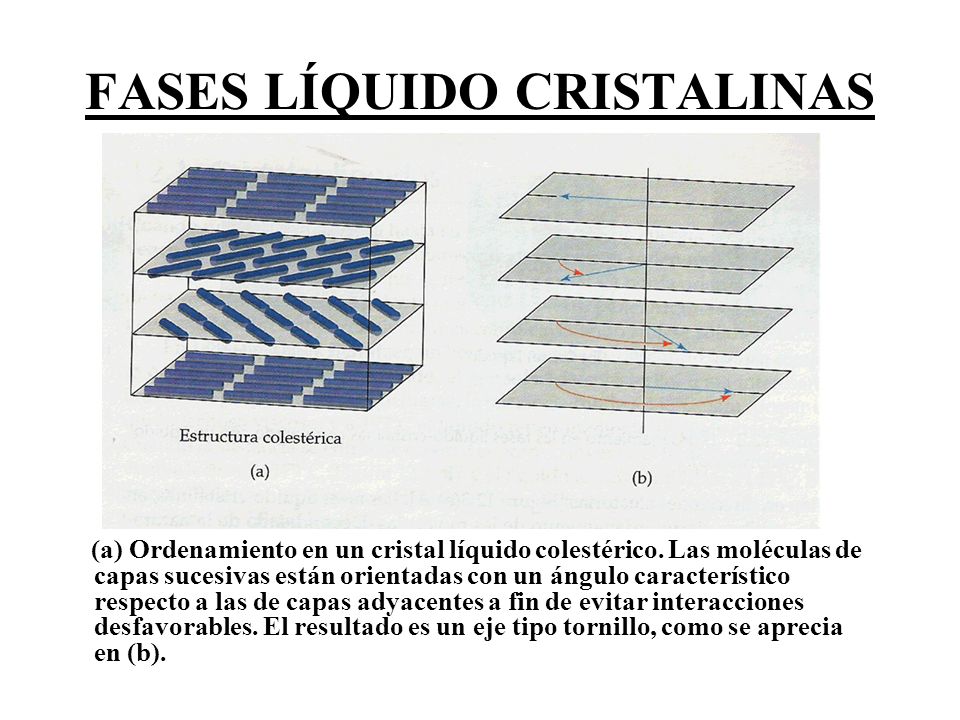 FASES LÍQUIDO CRISTALINAS
