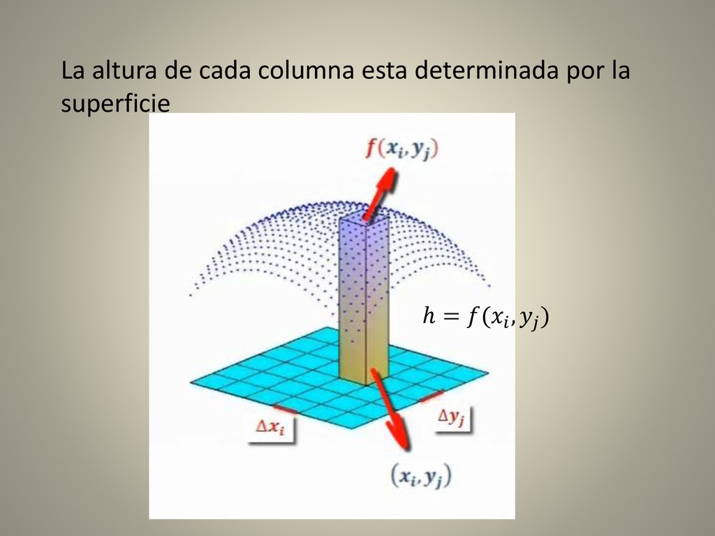 La altura de cada columna esta determinada por la superficie
