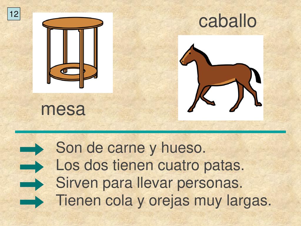 caballo mesa Son de carne y hueso. Los dos tienen cuatro patas.