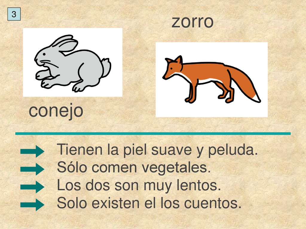 zorro conejo Tienen la piel suave y peluda. Sólo comen vegetales.