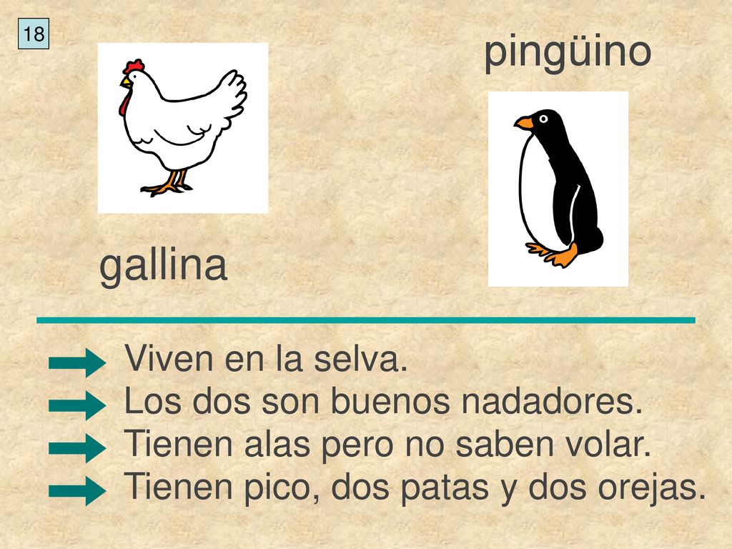 pingüino gallina Viven en la selva. Los dos son buenos nadadores.