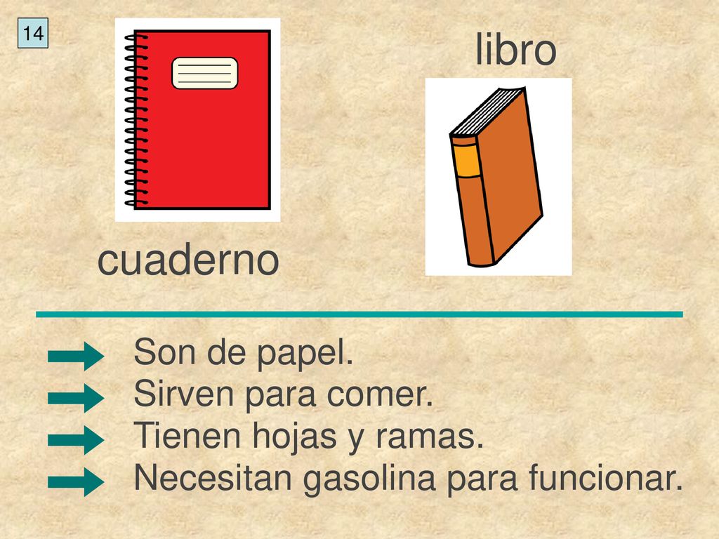 libro cuaderno Son de papel. Sirven para comer. Tienen hojas y ramas.