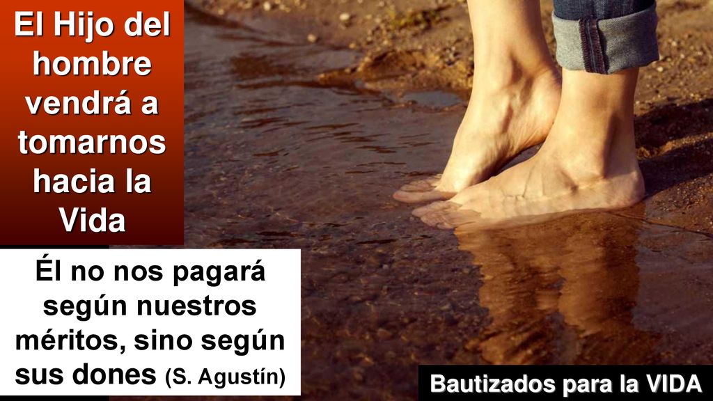 El Hijo del hombre vendrá a Bautizados para la VIDA