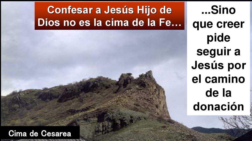 ...Sino que creer pide seguir a Jesús por el camino de la donación