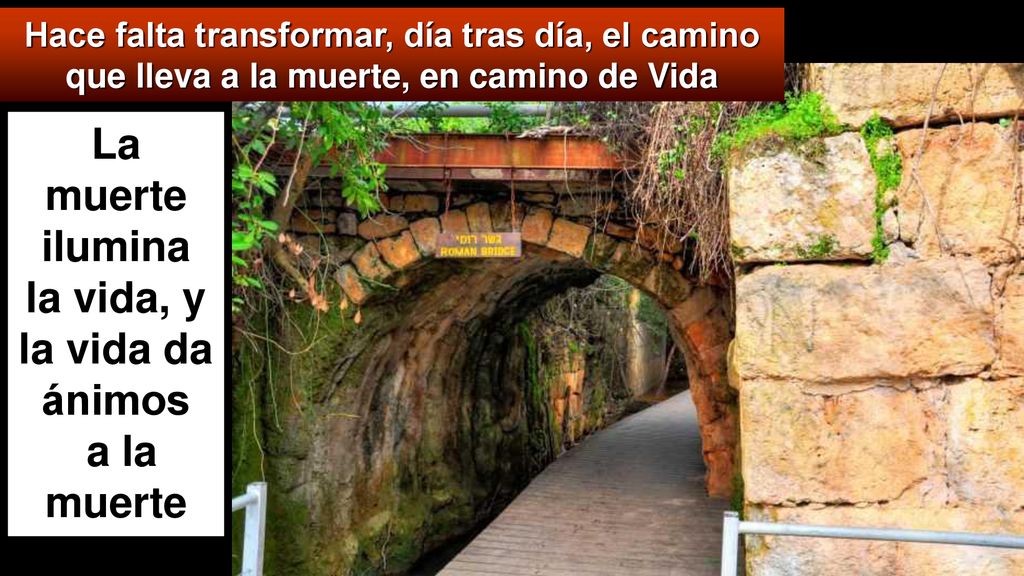 La muerte ilumina la vida, y la vida da ánimos