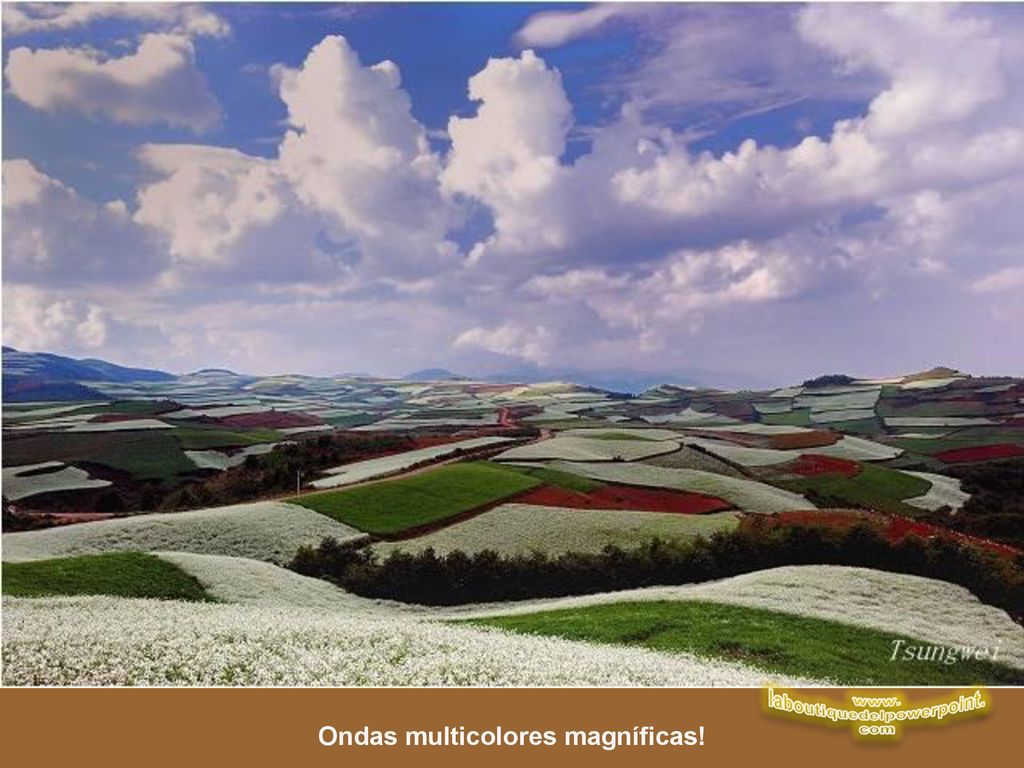 laboutiquedelpowerpoint. Ondas multicolores magníficas!
